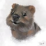 Переводы Квокки