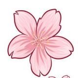 日本AV女优视频🫦无码有码КИТАЯНОЧКА