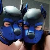 Royal Blue Pups 🐾🐶 Рояль 18+