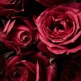 Elly Videoliste \ Элли сливки