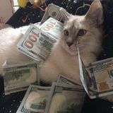 ꜱᴏᴍᴇ ᴘʀᴇᴛᴛʏ ɢɪʀʟꜱ хорошенькие шкуры