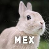 Кролички 18+