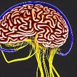 Гаджеты и Техника | Новости ИТ | IT NEWS