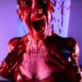 Блог (𝓹𝓸𝓵𝓲𝓷𝓪) 🐇