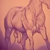 Four Legs, One Dick 4 ноги, один член