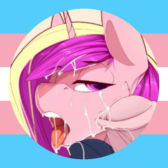 Mlp R34