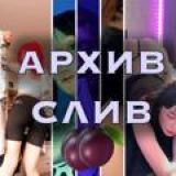 Архив Слив \ Сливы