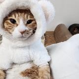 получено в рф \ секс