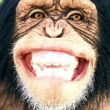 Schlach in Nacken \ Голенькая