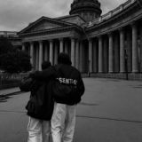 Скромный \ Сливы